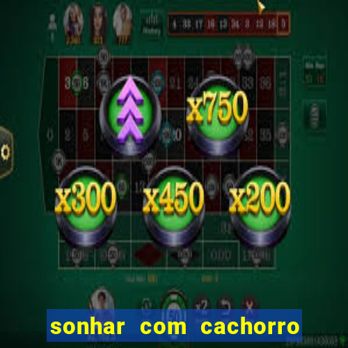 sonhar com cachorro numeros da mega sena